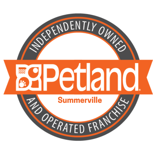Petland Summerville, South Carolina Pet Store