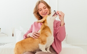 How to Choose the Right Puppy for Your Lifestyle and Personality