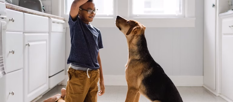 Start Strong: Why Early Training is Key to Raising a Happy and Well-Behaved Puppy