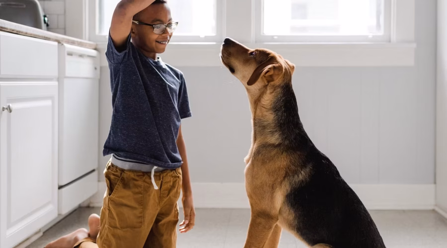 Start Strong: Why Early Training is Key to Raising a Happy and Well-Behaved Puppy