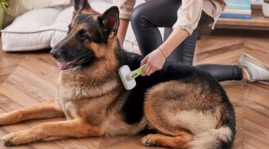 stop seasonal shedding