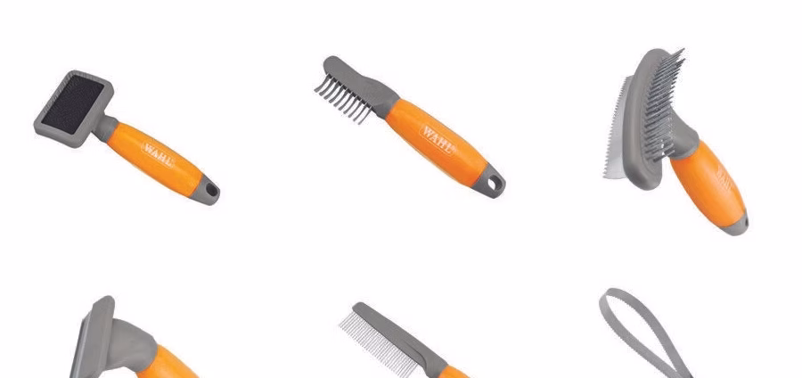 Pampered Paws: The Essential Guide to Keeping Your Dog Happy and Groomed