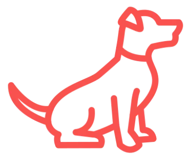 Available Puppies-Petland Summerville