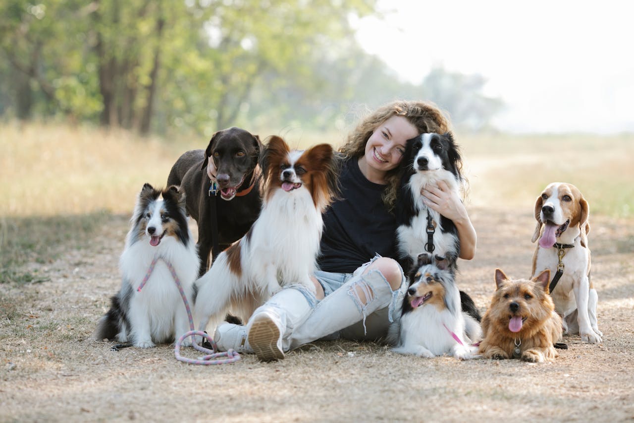 Top 5 Family-Friendly Dog Breeds Available at Petland Summerville