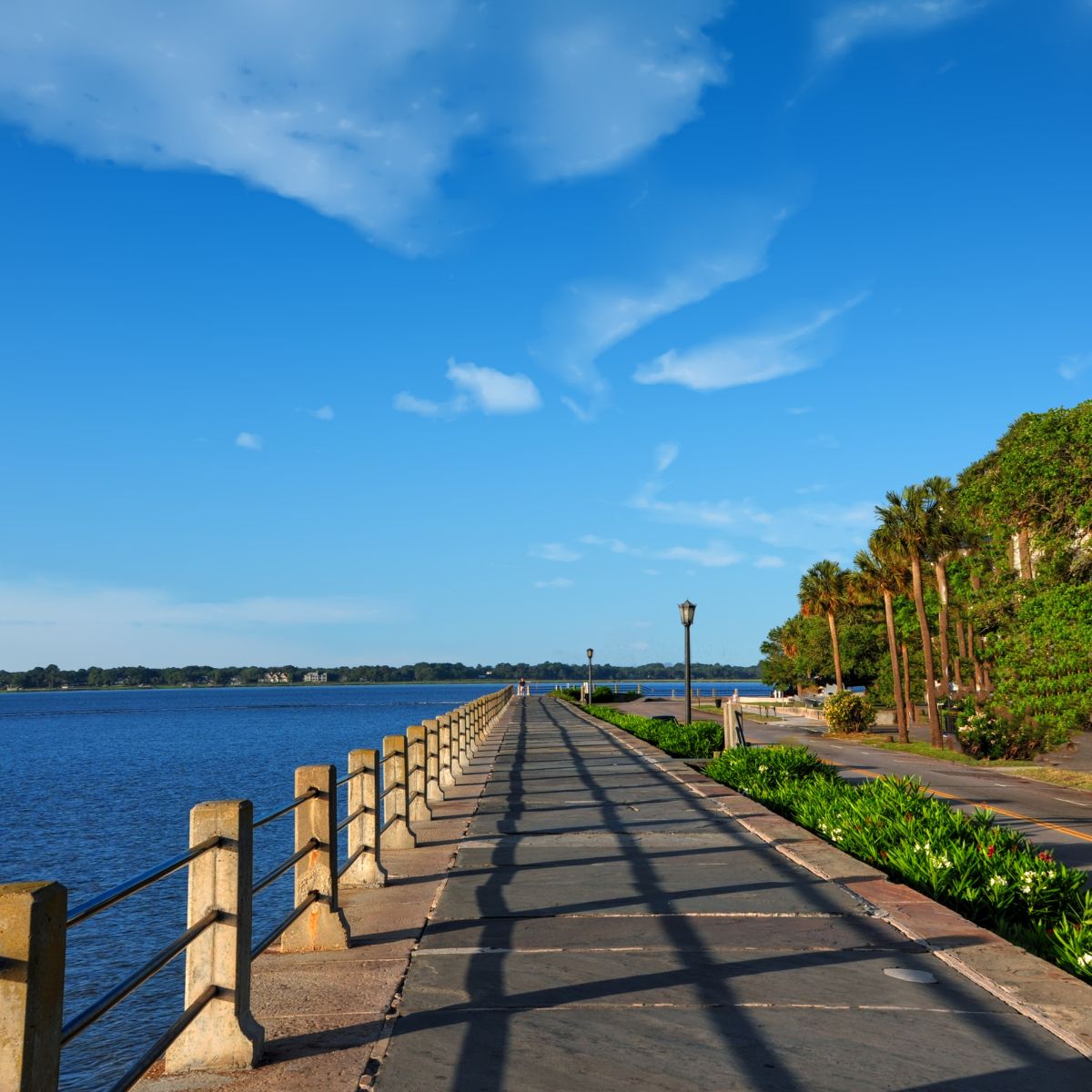 Dachshund in James Island, SC