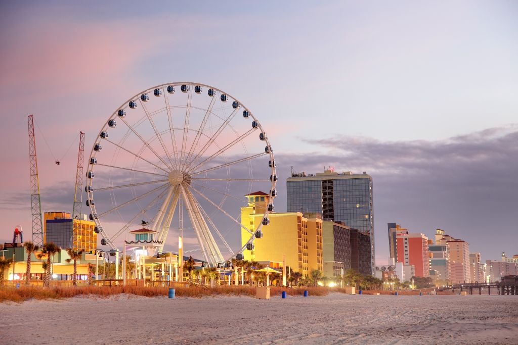 Cavapoo in Myrtle Beach, SC