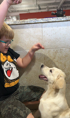 A child enjoying supervised time with a puppy at Petland Summerville