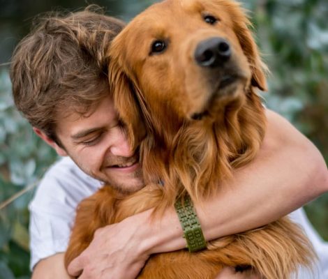 Several Financing Options Available-Petland Summerville