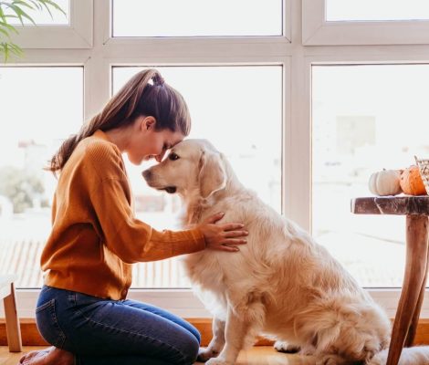 Several Financing Options Available-Petland Summerville