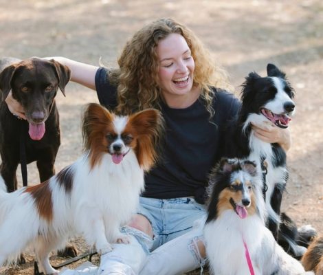 Principles-Petland Summerville